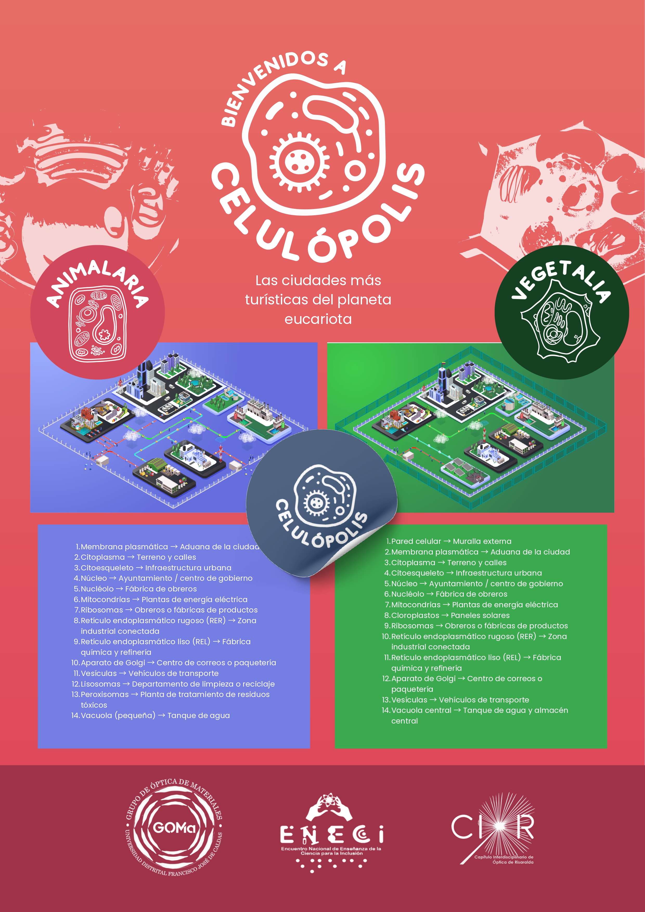 Taller Celulópolis en desarrollo