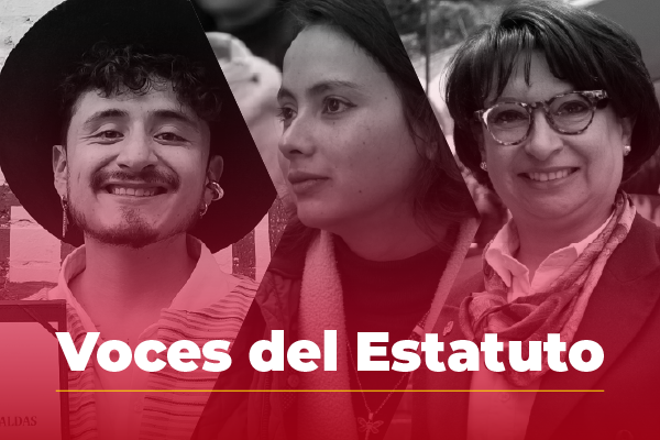 Botón Voces del Estatuto