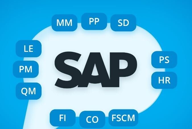 curso profesional de SAP