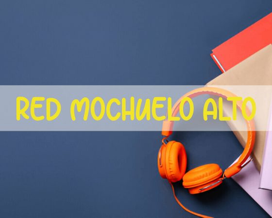 Colegio Mochuelo Alto (Ced)